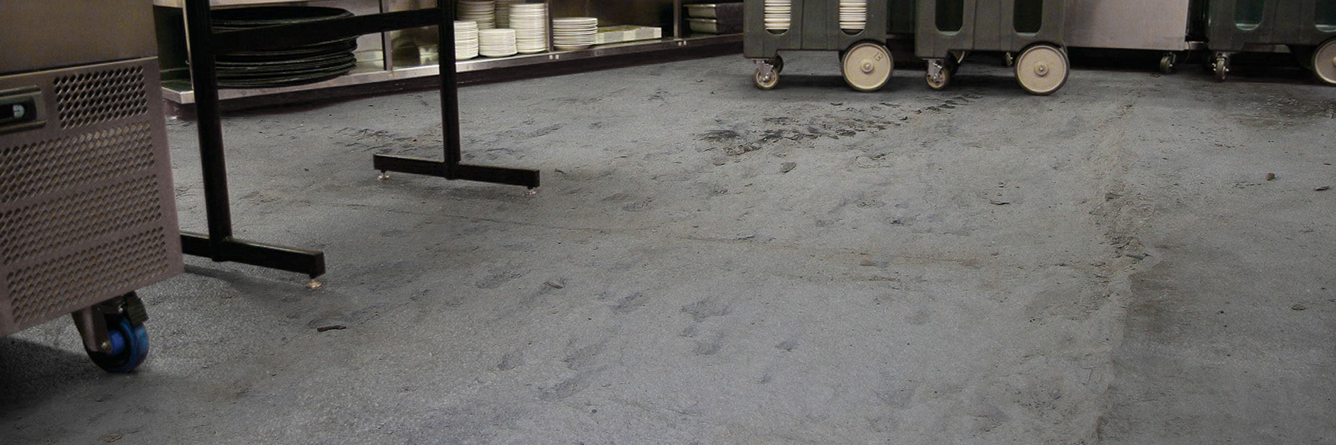 Food Safe Flooring Solutions To The Food Processing Industry