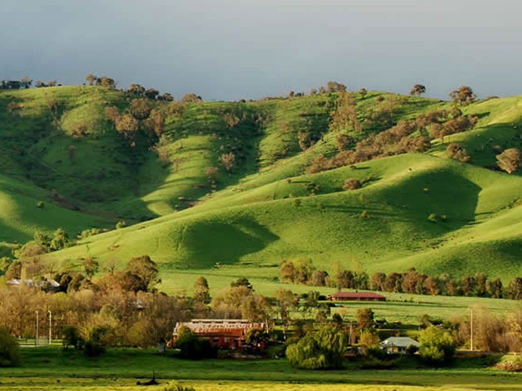 Tallangatta Meat Processing VIC Australia